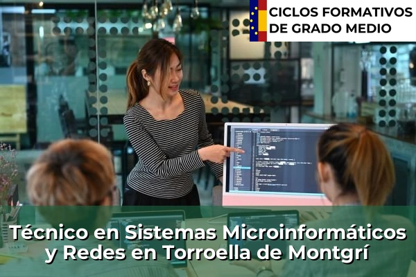 Técnico en Sistemas Microinformáticos y Redes en Cataluña 204 Técnico en Sistemas Microinformáticos y Redes en Torroella de Montgrí