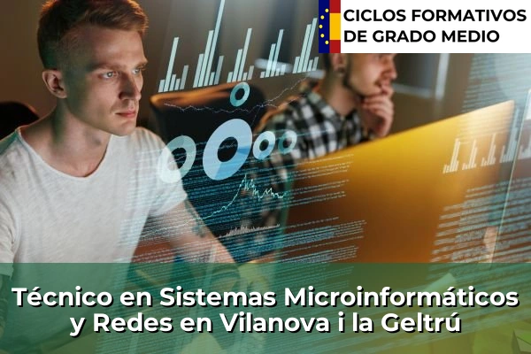 Técnico en Sistemas Microinformáticos y Redes en Cataluña 216 Técnico en Sistemas Microinformáticos y Redes en Vilanova i la Geltrú